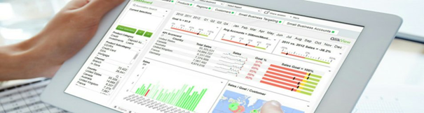 utilisation Qlikview